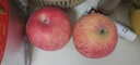 京鲜生 烟台红富士苹果 净重5斤  单果190g起 水果礼盒 实拍图