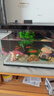 画法几何鱼缸造景海绵宝宝菠萝屋装饰摆件仿真造景沉木鱼缸水族箱造景 蘑菇造景套装 实拍图