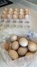 京鲜生【每日鲜蛋】无抗谷物鸡蛋30枚 3.18斤 当日产蛋 当日发货 实拍图