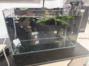 金晶五线超白鱼缸生态造景水族成品家用桌面鱼缸玻璃鱼箱 50*27*30CM 实拍图