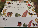 Jay耳环女耳饰圆脸耳坠925银耳钉耳扣耳圈送女友七夕情人节礼物 S925银耳圈（京仓/就近发货） 实拍图