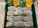 佳沛（zespri）新西兰 阳光金奇异果12粒礼盒特大果单果约122-146g 猕猴桃 水果 实拍图