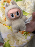 POP MART泡泡玛特 Baby Molly口袋朋友系列 - 搪胶毛绒挂件盲盒 随机1个（限购6个） 不支持七天无理由退换 实拍图