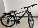 凤凰上海凤凰山地车自行车男士女式学生成人变速宽胎越野公路赛单车 【钢架/全套竞速轴承】条轮消灰 26寸24速【建议身高158-188cm】 实拍图