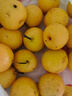 樱慕晴【JD地标认证】正宗辽宁鞍山南果梨东北特产南国梨香水梨新鲜水果 净重5斤【普装小果黄梨】约40枚 实拍图
