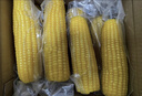京鲜生东北糯玉米3黄3白3黑220g*9棒 真空包装新鲜甜糯玉米棒 源头直发 实拍图