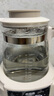 贝因美（Beingmate）恒温水壶 恒温壶婴儿调奶器温热暖奶器家用冲奶粉电热烧水壶 实拍图