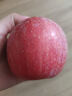 甜醉了 烟台苹果栖霞红富士新鲜水果生鲜山东特产脆甜整箱平果礼盒礼品 净重5斤 85mm 实拍图