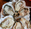 鲜京采 鲜活生蚝3XL 净重5斤 13-18只 鲜活到家 生鲜海鲜 源头直发 实拍图