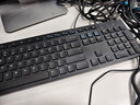 戴尔(DELL)KB216 有线键盘 办公键盘 全尺寸键盘  USB插口 黑色10支套装 实拍图