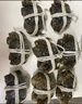 【活蟹】宿有千香 鲜活大闸蟹 全母蟹2.8-3.0两/只 共8只 去绳足重 蟹类螃蟹河蟹礼盒 实拍图