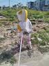 G.duck捡肉宝宝春秋风衣外套2024年新款1-3岁儿童衣服洋气0婴儿童装冲锋 黄色 80cm 实拍图