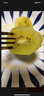 佳沛（zespri）新西兰  阳光金奇异果16粒礼盒经典果单果约 77-103g 水果 猕猴桃 实拍图