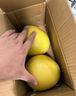 京鲜生 福建琯溪红心蜜柚2粒装 净重4-4.5斤 中秋水果礼盒 源头直发包邮 实拍图