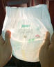 好奇（Huggies）小森林纸尿裤NB66片(5kg以下)尿不湿心钻【透氧顶配更低敏】 实拍图