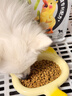 比瑞吉狗粮鸭肉梨升级瓜6冻干幼成老年小型犬小绿袋比熊去泪痕犬粮2kg 实拍图