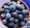 京鲜生有机蓝莓智利原装进口冷冻蓝莓生鲜水果800g 实拍图