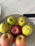京鲜生 新疆库尔勒香梨 净重10斤 特级 单果120g以上 生鲜水果 实拍图