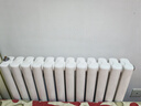 维森美 取暖器/电暖器/电暖气片家用加水电暖气片家用智能加热水电暖器散热器注水节能省电立式加湿烘衣 基础款白色12柱供暖10-14平 实拍图