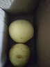河北皇冠梨蜜梨冰糖梨脆甜远达新10 河北皇冠梨带箱1斤装 实拍图