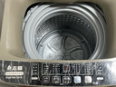 志高（CHIGO）全自动洗衣机 家用小型波轮 洗脱一体机大容量 公寓宿舍出租房 10KG咖啡金【蓝光洗护+风干洁桶+强电机】 实拍图