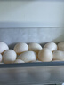 均鲜新鲜土鸽子蛋杂粮喂养农家特产白鸽蛋信鸽蛋孕妇宝宝年货节礼盒装 30枚610g左右精选鲜鸽蛋 实拍图