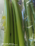 【24小时菜】大芹菜约400g 实拍图