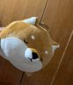 名创优品（MINISO）柴犬系列毛绒公仔趴姿玩具娃娃抱枕睡觉室内卧室办公室生日礼物 实拍图