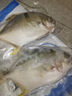 1号会员店（One's Member）甄选海南二去金鲳鱼去鳃去内脏生鲜鱼类 海鲜水产 700g/2条装 实拍图