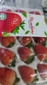 樱鲜JD顺丰多地次日达非丹东99牛奶红颜奶油酸甜云南草莓新鲜水果年货 3盒 甄选果【45枚】单果18-26g 实拍图