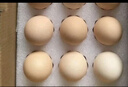 1号会员店可生食鸡蛋30枚净重3.6斤精选大码蛋礼盒装 源头直发 实拍图