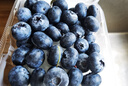 京鲜生 云南蓝莓18mm+大果 4盒装 净重125g/盒 生鲜水果 实拍图