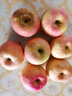 甜醉了 烟台苹果栖霞红富士新鲜水果生鲜山东特产脆甜整箱平果礼盒礼品 净重5斤 85mm 实拍图