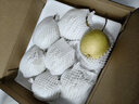 京鲜生 河北雪花梨 净重5斤 单果300g+ 生鲜水果礼盒 实拍图