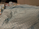 富安娜儿童100%蚕丝被子纯棉面料春秋被芯60s全棉四季被5.4斤230*229cm 实拍图