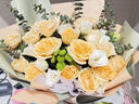 艾斯维娜鲜花速递向日葵混搭花束生日礼物全国同城配送 19朵香槟玫瑰混搭欧式花束 实拍图