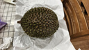 京鲜生马来西亚D197猫山王榴莲冷冻5-5.5斤保5房新鲜水果 实拍图