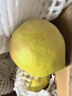 京鲜生 新疆库尔勒香梨 净重10斤 特级 单果120g以上 生鲜水果 实拍图
