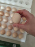 京鲜生 无抗保洁鲜鸡蛋30枚/盒 健康轻食 礼盒送礼 1.5kg/盒 源头直发 实拍图