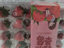 【产地直采】丹东红颜草莓300g 实拍图