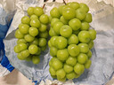 京觅甘肃晴王觅光葡萄 净重5斤 单粒8-10g 香印青提 源头直发 实拍图