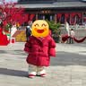 齐齐熊 男童羽绒服面包服儿童保暖冬装上衣宝宝白鸭绒 实拍图