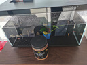 米家（MIJIA）小米米家智能生态鱼缸还原自然生态补仓一次三月无忧出差旅行必备 实拍图