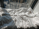 京东京造100%天然新疆棉花被 纯棉被芯双人被子 冬季厚被8斤2x2.3m 实拍图