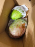 京鲜生 攀枝花凯特芒果 净重8.5斤 带箱9斤 单果500g+ 生鲜水果源头直发 实拍图