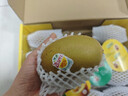 佳沛（zespri）新西兰  阳光金奇异果10粒礼盒巨大果单果约144-175g 水果 猕猴桃 实拍图