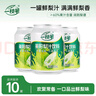 一枝笔莱阳梨汁夏季解渴熬夜易拉罐果汁清润整箱饮料批发245ml*10罐 实拍图