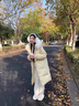 艾珠儿（Aizhuer）羽绒棉服女冬季韩系中长款毛领大衣外套女宽松加厚保暖棉衣棉袄潮 鹅黄色 M（建议105-120斤） 实拍图