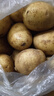 播州鲜新鲜土豆贵州特产高山马铃薯土豆黄皮黄心土豆农家自种蔬菜 黄皮土豆5斤 （净重） 实拍图