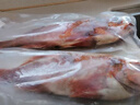 卖鱼七郎红石斑鱼净重3.2斤-3.4斤共2条海捕鲜活冷冻大眼鱼整条富贵鱼鱼类 实拍图
